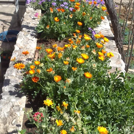 Lucija * Dubrovnik